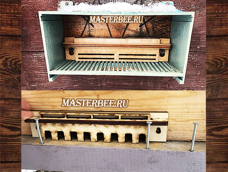 Леток пчелиный